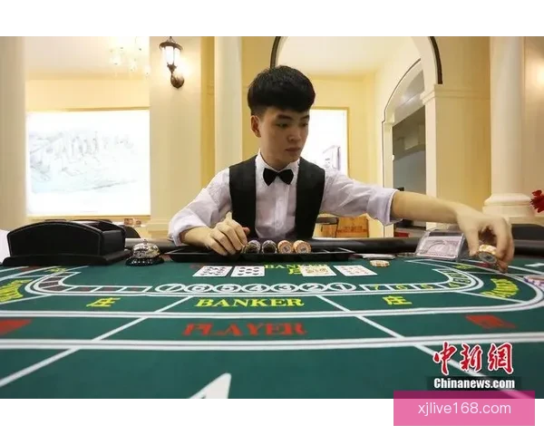 真人现金博彩平台全新上线 提供多样化游戏体验 安全公平保障玩家利益