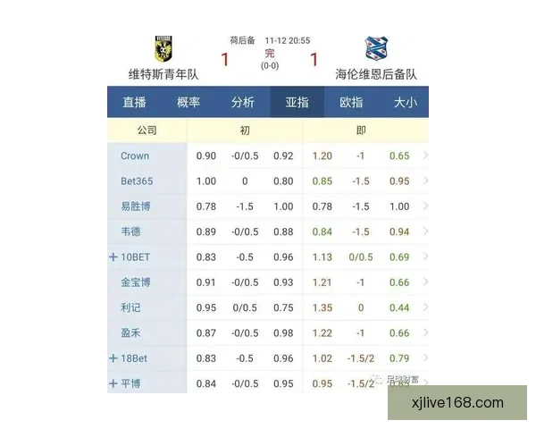 全面解读世界杯买球盘口变化趋势与实战投注策略指南助你把握赛事