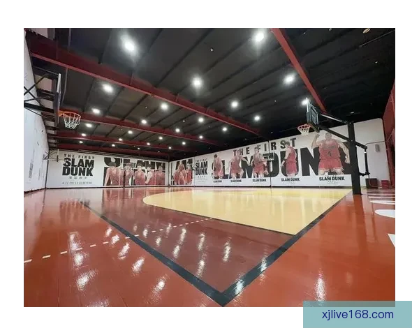 文班揭秘：不仅篮球高手还对流星暗物质充满无限好奇